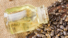 Hint Yağının Saça Faydaları Neler, Nasıl Kullanılır? Hint Yağı Hakkında Bilinmesi Gerekenler