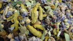 15 TL’ye satılıyor! 21 bitki karışımından yapılıyor: Hatay’da talep patladı