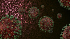 Omicron varyantı nedir belirtileri nelerdir ölümcül mü Türkiye’de çıktı!