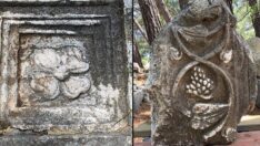 5 antik kentin 5 endemik bitkisi, koruma altına alındı