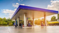 Akaryakıt sektörüne akreditasyon şoku: Pek çok işletme kapanma tehlikesi altında