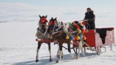 Atlı kızakla Çıldır Gölü’nde drift attı