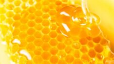 Bal fiyatları da uçtu! Teneke fiyatını gören…