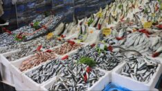 Balık tezgâhlarına fırtına etkisi