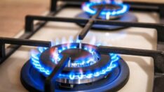 BOTAŞ Müdürü’nden tasarruf hedefi