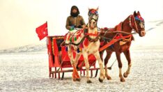 Burası Alaska değil Çıldır!