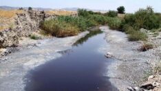Büyük Menderes Nehri’ne sanatçılar da sahip çıktı