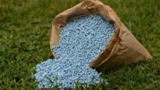 Çiftçilerin kart limiti gübre bile almaya yetmiyor