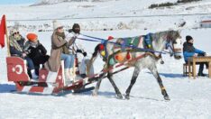 Çıldır Gölü’nde atlı kızak keyfi