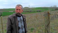 Devletten alacağı 200 milyarı geçen çiftçiler isyan etti