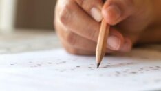 EKPSS tercih kılavuzu: EKPSS nitelik kodları lisans, ön lisans, ortaöğretim, ilköğretim…