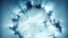 Fazla şeker beyni nasıl etkiler