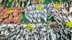 Fırtına lüfer getirdi! Kırmızı etten ucuz…