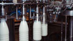 Gıda üreticisi enerji kesintisinden muafiyet istedi