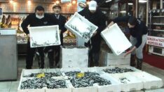 Hamsi fiyatları yarıya düştü