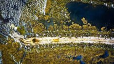 Kaz Gölü’nde tablo gibi manzara