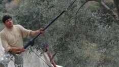 Kendisi 39, kolları 12 yaşında