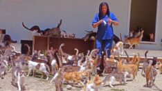 Mamaların KDV oranı Meclis gündeminde: Lüks değil ihtiyaç