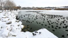 Mogan Gölü kısmen buz tuttu