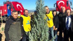 Muğla’nın kül olan ormanlarında Güney Koreli dostların fidanları yeşerecek