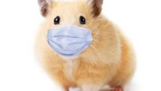 Omicron’un kökeni ile ilgili endişe veren iddialar