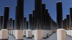 Ormanlar yok oluyor ama… ABD’de mekanik ağaç geliştirildi