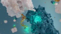 Sentetik DNA ile nano-anten geliştirildi