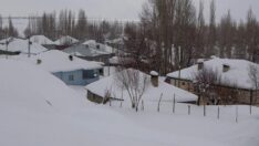 Termometreler eksi 25’i gösteriyor! Hayat durma noktasına geldi