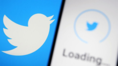 Twitter, TikTok benzeri yeni bir video formatını test ediyor