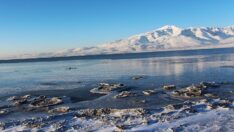 Van Gölü buz tuttu