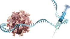 Virüs yokmuş gibi davranmak büyük hata