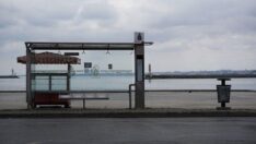 Yeniden kapanma olacak mı? Bilim Kurulu üyesi net konuştu