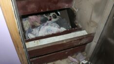 2 yıldır kayıp olan çocuk, aile evindeki sandıkta bulundu