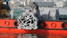 3D yazıcıyla üretilen yapay resifler Mersin’de denize bırakıldı