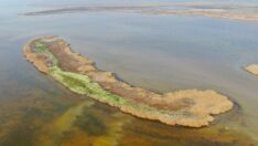 Adana’nın gizli cenneti: Nergis Adası