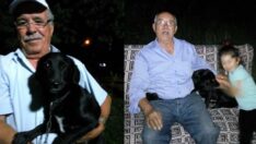 ‘Can yoldaşım’ dediği köpek için gözyaşı döküyor