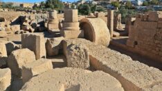 Dara Antik Kenti’nin, zeytin üretim ve ticaret merkezi olduğu ortaya çıktı