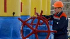 Doğalgaz yardımı başvurusu ne zaman başlıyor? Doğalgaz yardımı başvurusu nasıl yapılır?