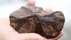 Ekin yaptığı sırada tarlasında buldu! ‘Böylesini daha önce hiç görmedik’