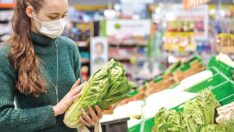 Ekonominin zincirleri koptu