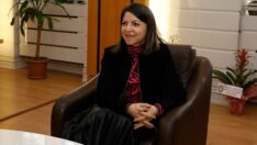 El sanatları öğretmeni, ölen hamile kedinin karnından yavrularını çıkararak kurtardı