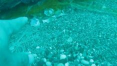 Hayalet ağlar deniz altında ölüm saçıyor