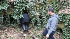 Hayvanlarını otlatırken tesadüfen buldular