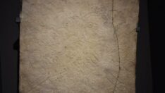 İnsan yüzlü levha 5 bin yaşında: Saldırılara karşı kenti koruduğuna inanılıyor