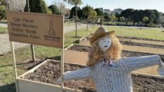 İzmir Büyükşehir’den tohum takas etkinliği