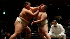 Japonya’da sumo güreşini corona vurdu!