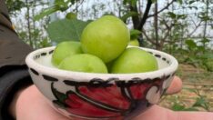 Kilosu 2 bin lira, müşterisi Arap şeyhleri