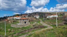 Koku Bahçesi: Karaburun