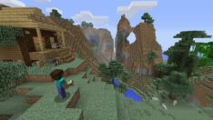 Minecraft oynu yüzünden hapis cezası aldı