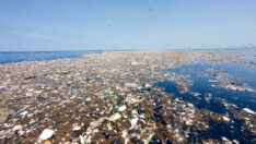 “Plastik kirliliği için küresel bir sözleşme gerek”